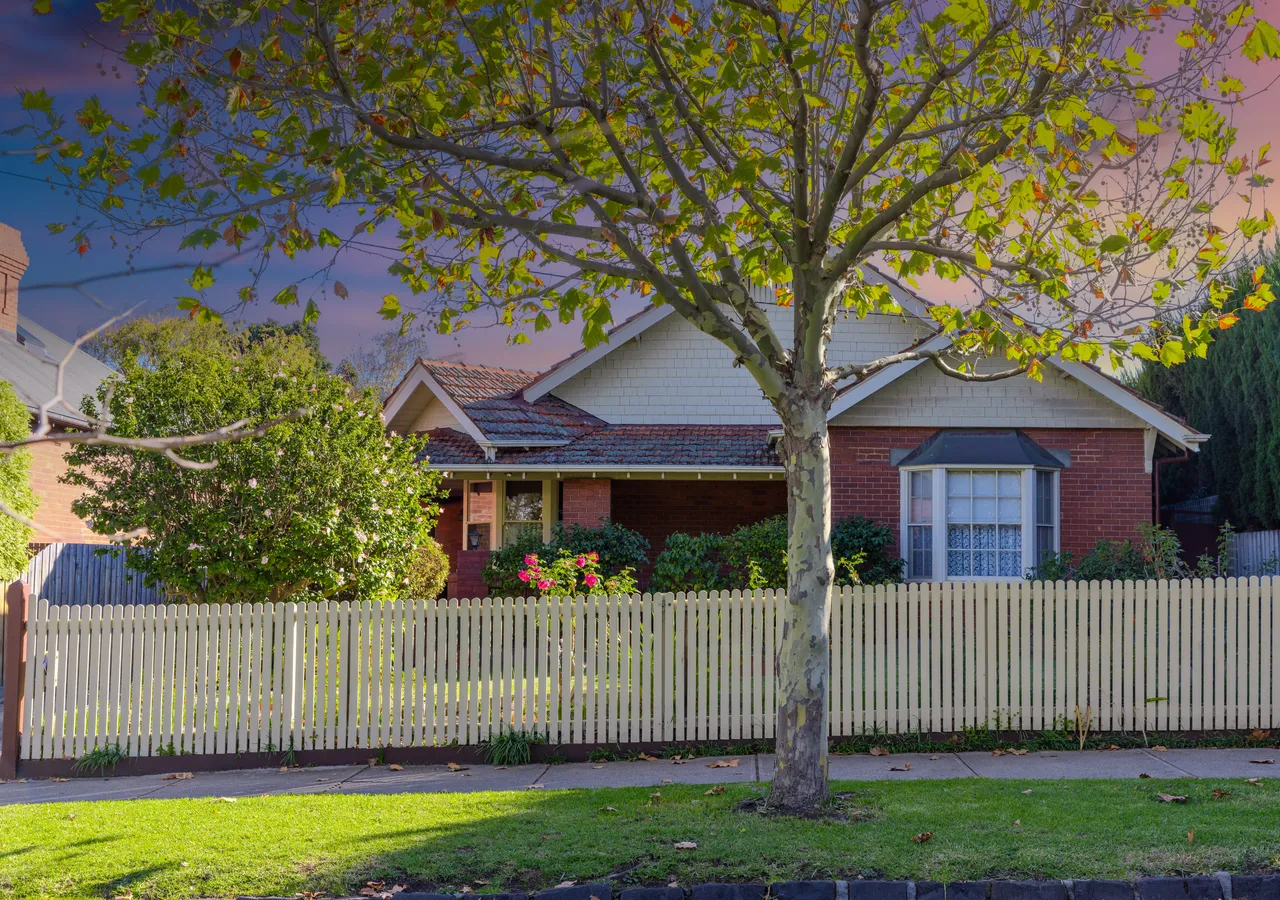 A brick home with a tiled roof behind a white picket fence and a large street tree.