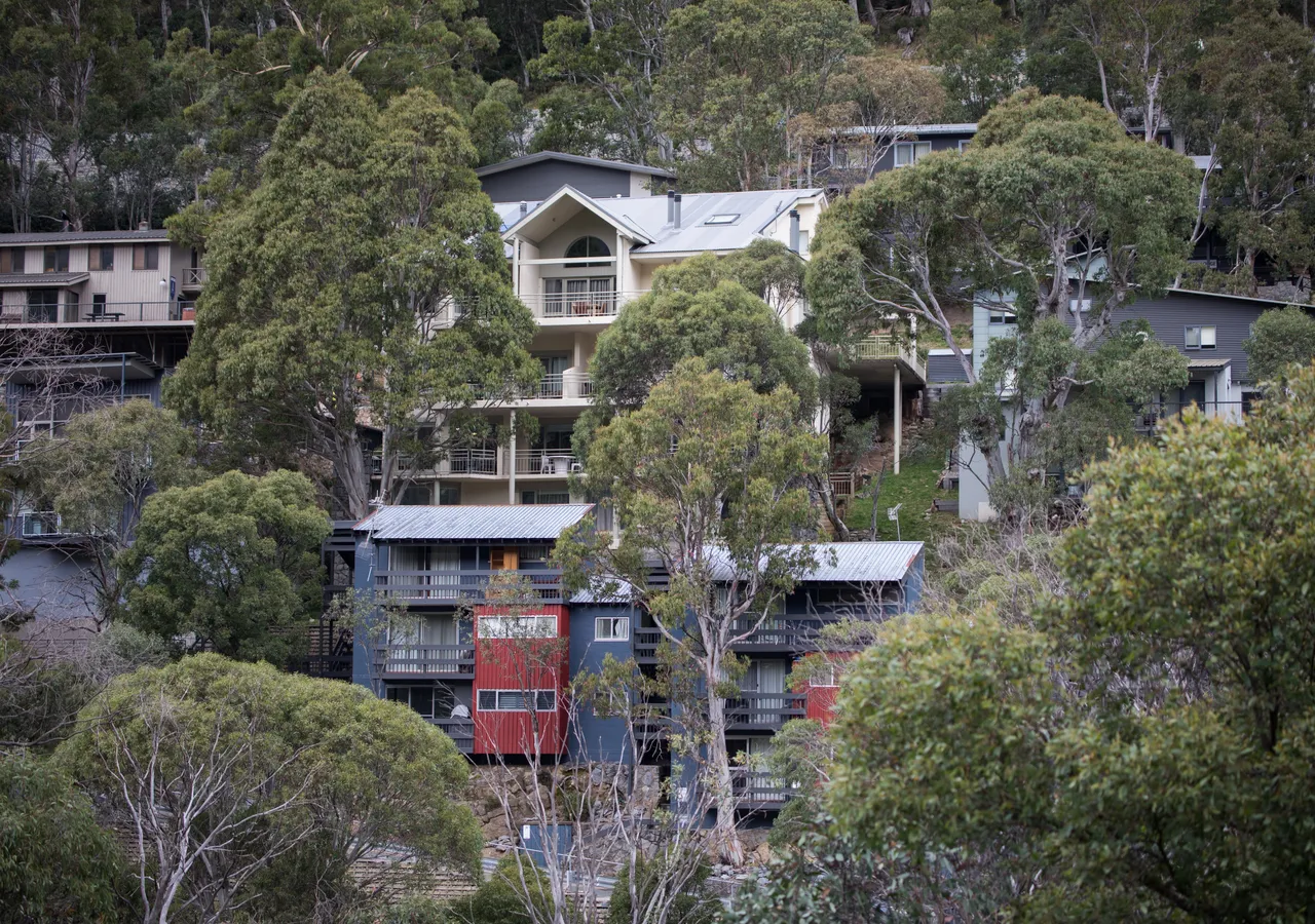 Apartment blocks built into a bushland hillside, balconies facing the trees.